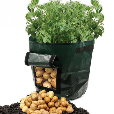 Planting PE Bags