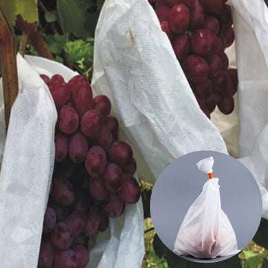 Grape Protection Bag